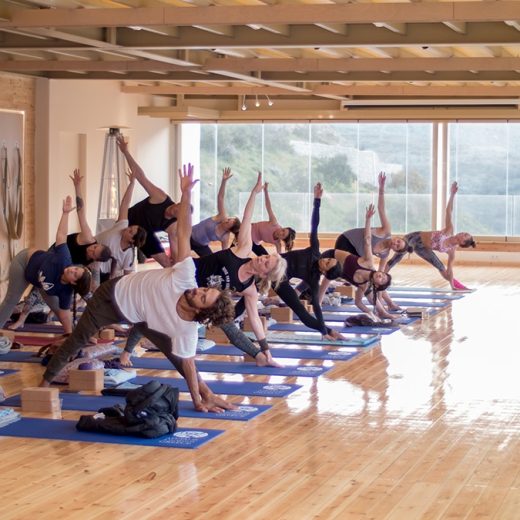 Elysia Yoga Convention 4